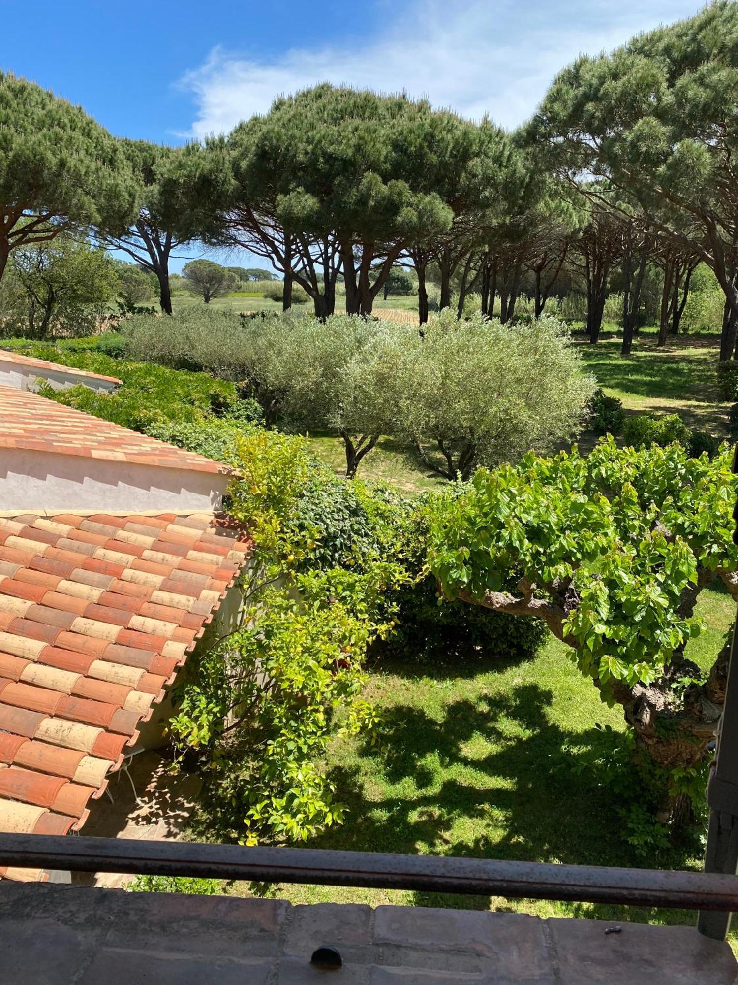 Bed and breakfast Lei Souco Ramatuelle