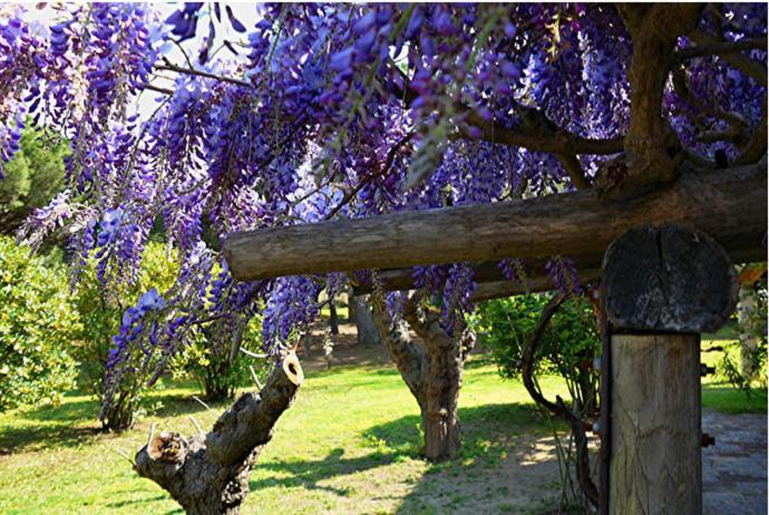 Bed & Breakfast Lei Souco Ramatuelle
